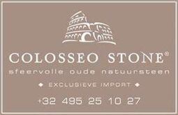 Colosseo Stone Logo